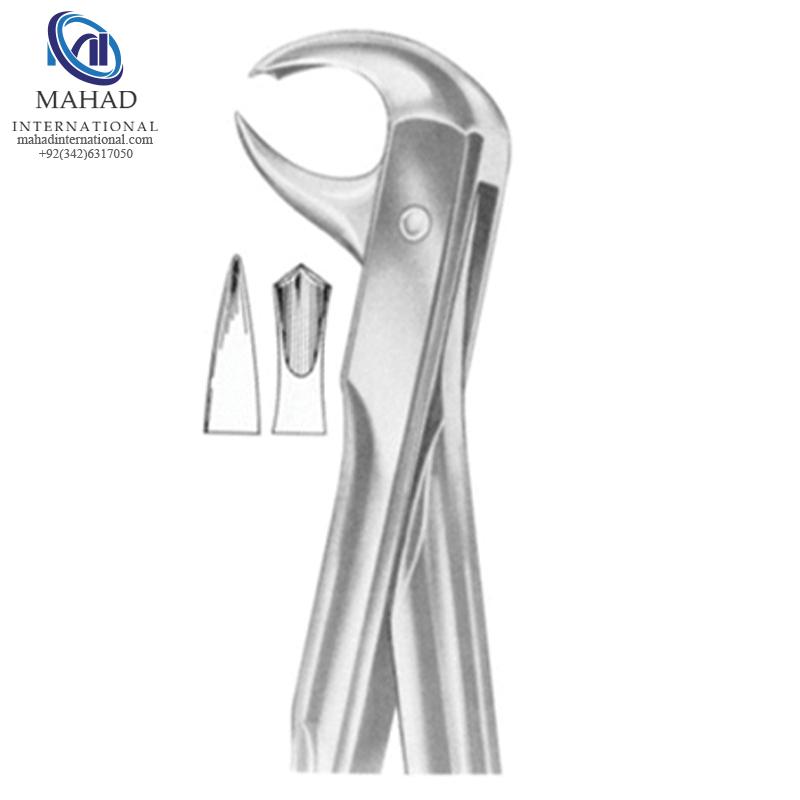 Lower Molars (Broken-Down)